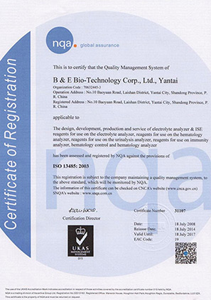 ISO13485-国际质量体系认证（英文）